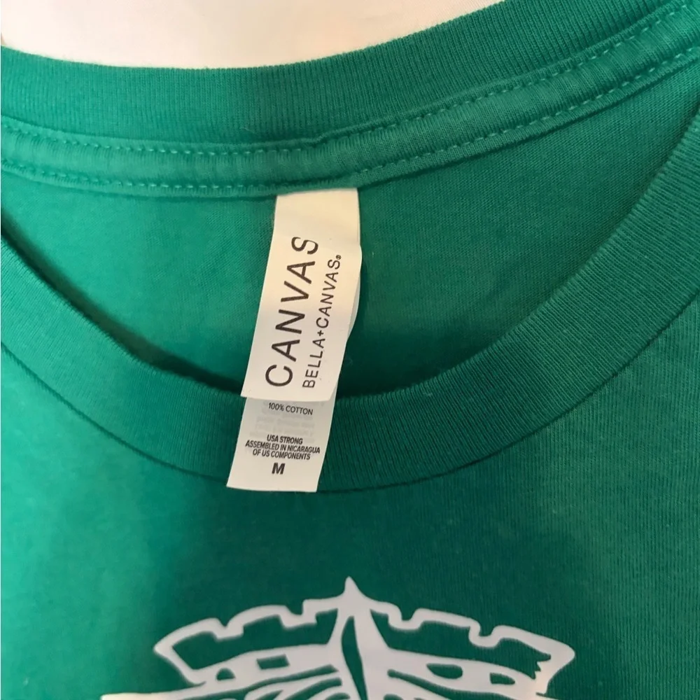 Bella Canvas bold slytherin